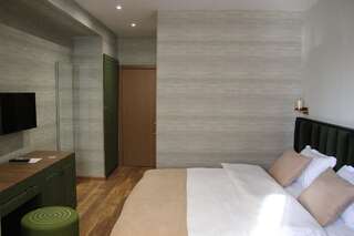Отель Centric Baku Boutique Hotel Баку Двухместный номер с 1 кроватью или 2 отдельными кроватями-4